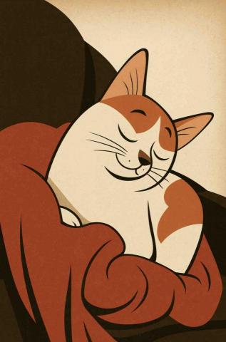 提供泥作浴缸服務的專家李松芳