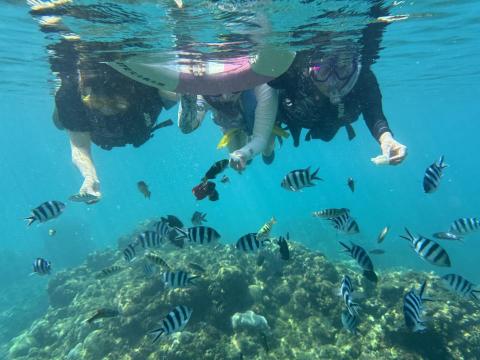 人瓜瓜 - 我也是個浮潛教練