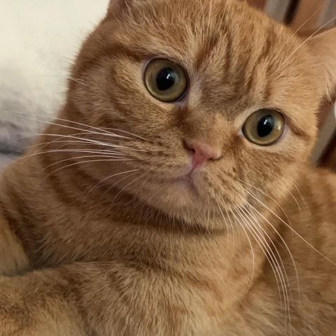 提供台南晚餐外送服務的專家家瑀