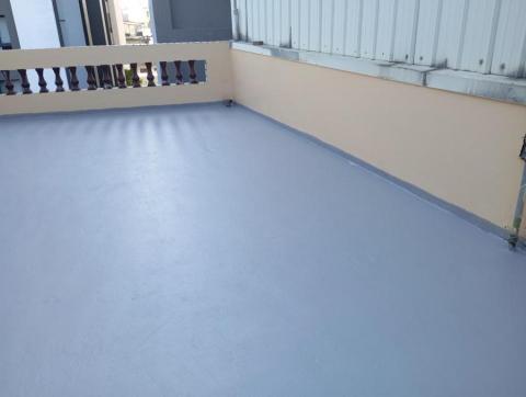 鐵皮屋頂漆，防水漆，圍籬，室內油漆都有承做 - 