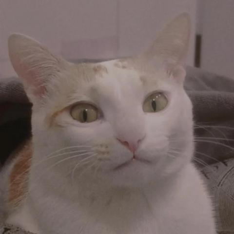 提供台中弱電代工服務的專家一冉