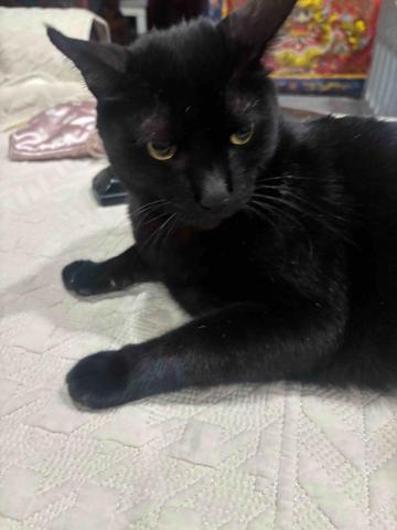 提供粗工服務的專家徐伯豪