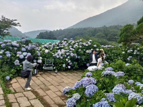 添好運包車旅遊 - 陽明山竹仔湖婚紗拍懾