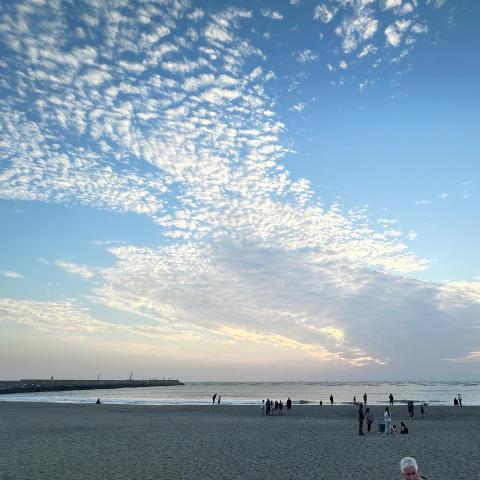 提供股價排行服務的專家su yu