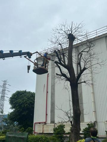 仁武代客除草廠商推薦芊軍工程行