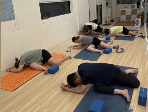 Ariadna_Yoga - 伸展瑜伽、基礎瑜伽