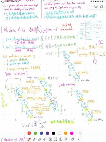 Liao - 自製普通生物學筆記（1/2）