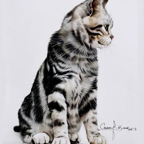 提供12600術科服務的專家陳奕豪