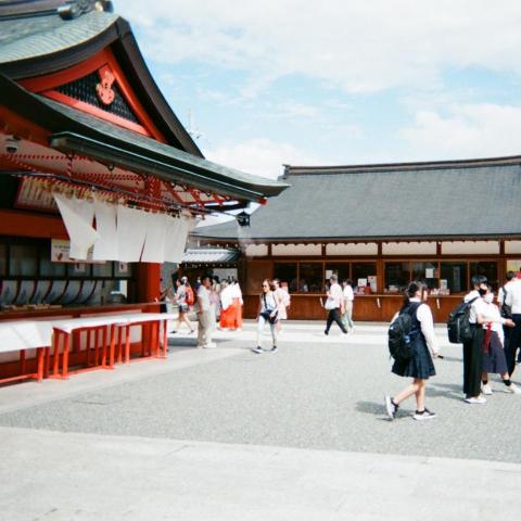 提供顧問公司服務的專家夏沛晴