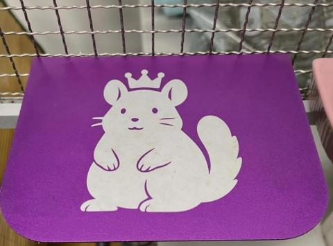 黎聲科技 - 經陽極處理再雷射雕刻-龍貓寵物踏墊