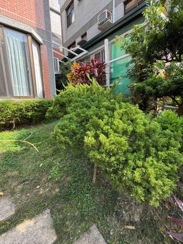 太杉 景観園芸所 エンゲイショ - 