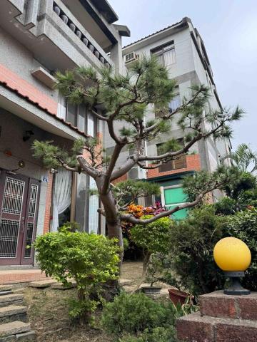 太杉 景観園芸所 エンゲイショ - 中型五葉松修強剪（冬）