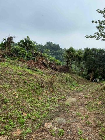 太杉 景観園芸所 エンゲイショ - 