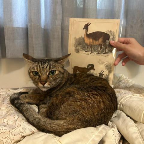 提供韓文服務的專家貳肆