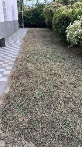 阿龍割草團隊 - 