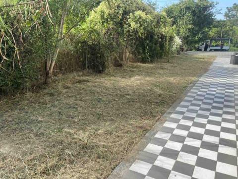 阿龍割草團隊 - 