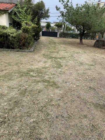 阿龍割草團隊 - 