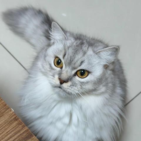 提供制服服務的專家曾淑娟