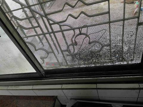 巴維婷 - 清潔前（2）紗網