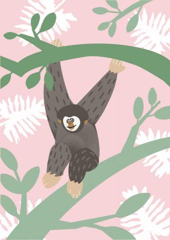 王思驊 - 動物插畫/低飽和可愛風