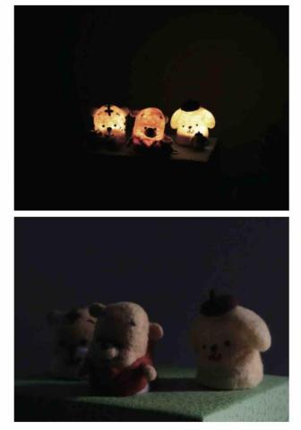 鄭芷棋 - 羊毛濕氈-小夜燈