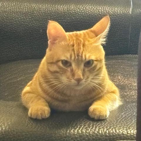 汐止冷氣移機師傅推薦張宮郡