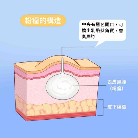 王思驊 - 醫療插圖