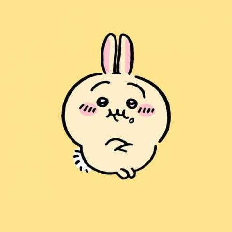 提供民法226服務的專家Dora