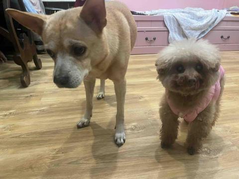 Tracy - So&hellip;..cute?