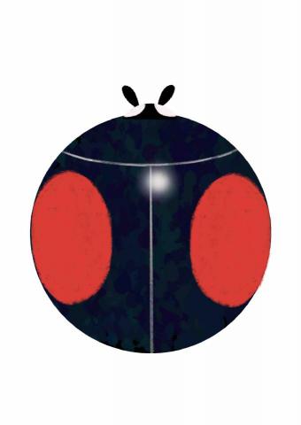 王思驊 - 昆蟲特寫插畫