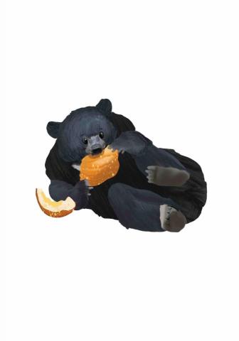 王思驊 - 動物插畫（繪本風）