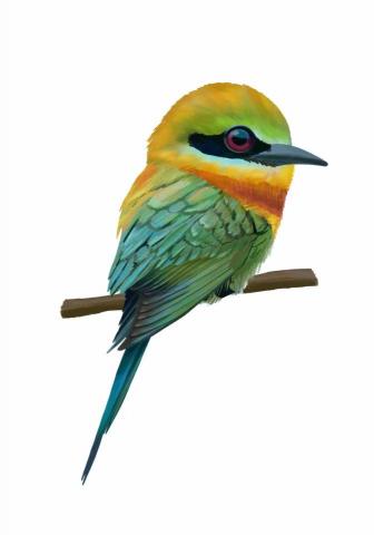 王思驊 - 動物插畫（寫實）