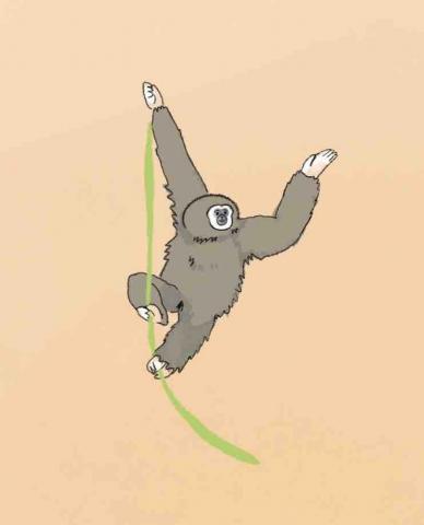 王思驊 - 動物插圖/清新風