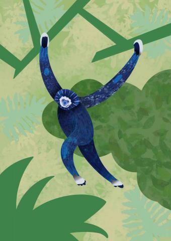 王思驊 - 動物插畫/質感變化拼貼風