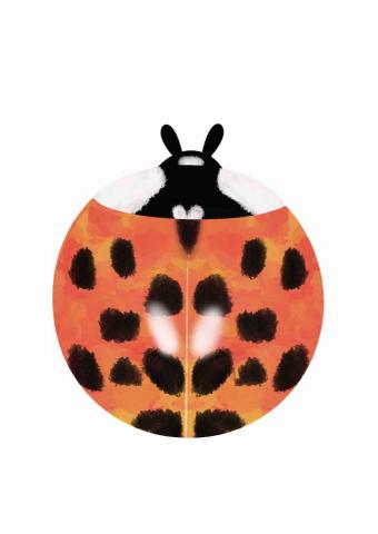 王思驊 - 昆蟲特寫插畫