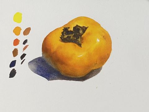 Zhi Jing Wang - 基礎水彩教學示範-柿子
