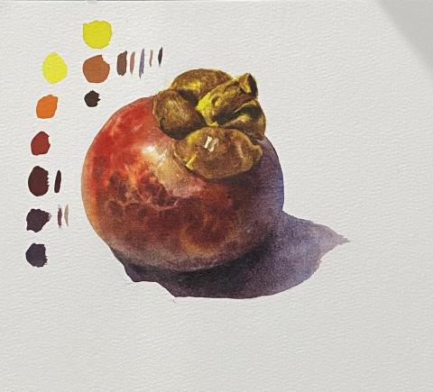 Zhi Jing Wang - 基礎水彩教學示範-山竹