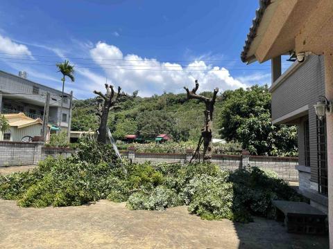 劉明鑫 - 樹木修剪