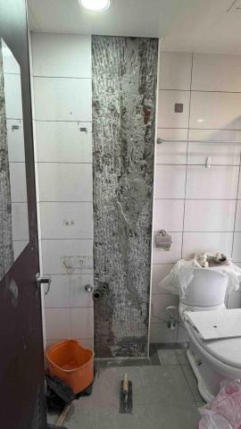 林聖文 - 磁磚破裂重貼新磁磚