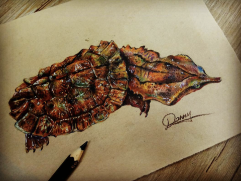 DNA設計有限公司 - 