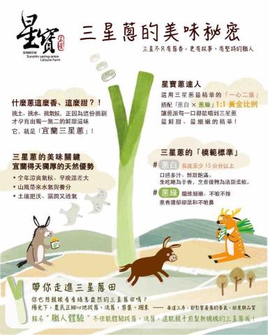 卡米諾Camizo - 傳單設計-三星蔥