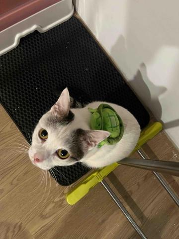 蔡竹慈 - 這是我家的寶貝