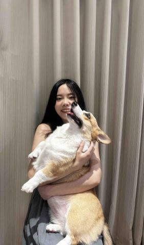 新北寵物接送司機推薦Sunny