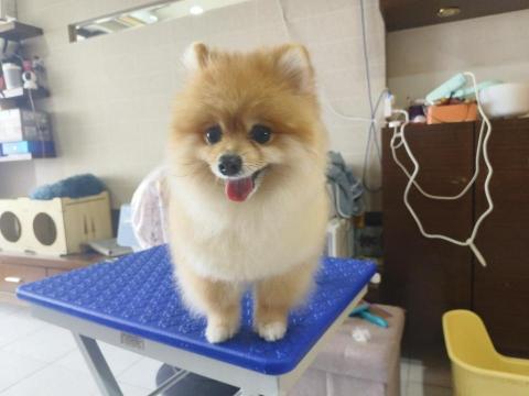 周子嫆 - 手修毛