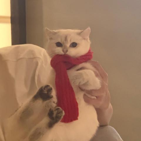 提供時間管理ppt服務的專家詩婷