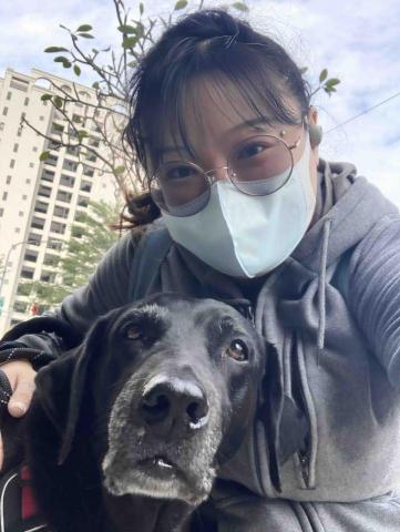 美琪寵物保姆(到府居家殘貓照顧） - 退役搜救犬