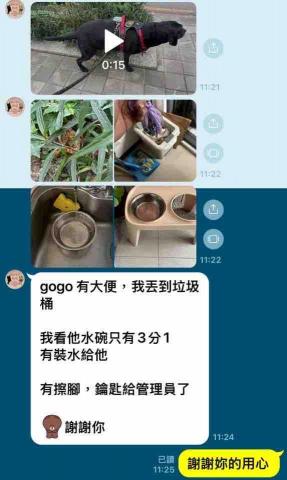 美琪寵物保姆(到府居家殘貓照顧） - 服務回傳