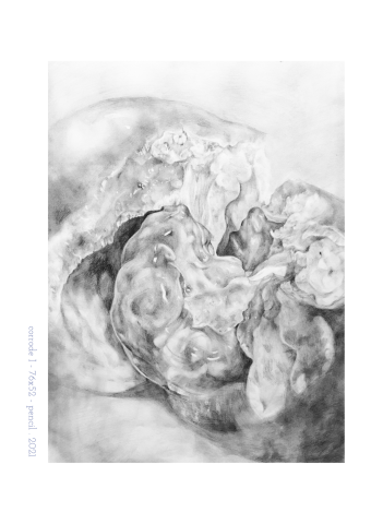 Zhi Jing Wang - 素描創作