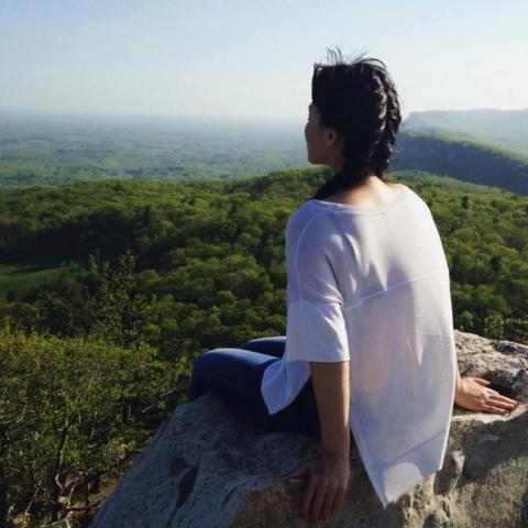 提供sbir代寫服務的專家Shu-Yi CHU