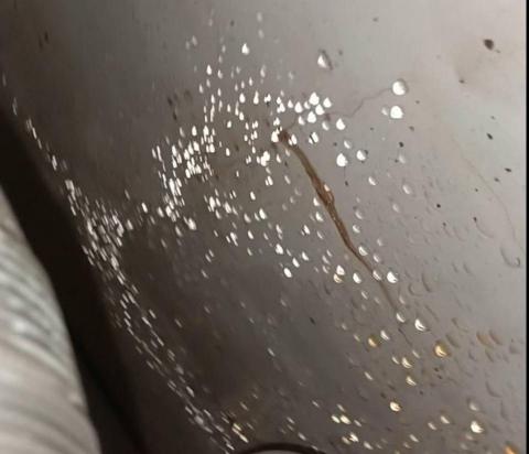 全球補漏-免打牆 - 熱水管滲漏-管內補漏（免打牆）